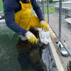 Стрічка Geotextile-50 - 10 см х 50 м